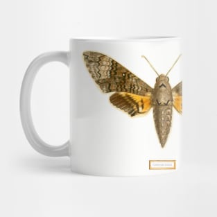 Fun moth vintage photograph tee Mug